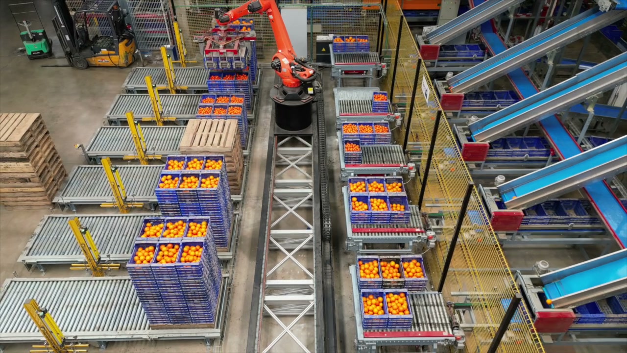 Paletizado robotizado